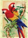 Maľovanie podľa čísiel formát A4 - Bambusové Papagáje