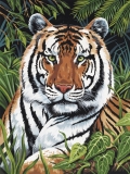 Maľovanie podľa čísiel formát A4 - Tiger