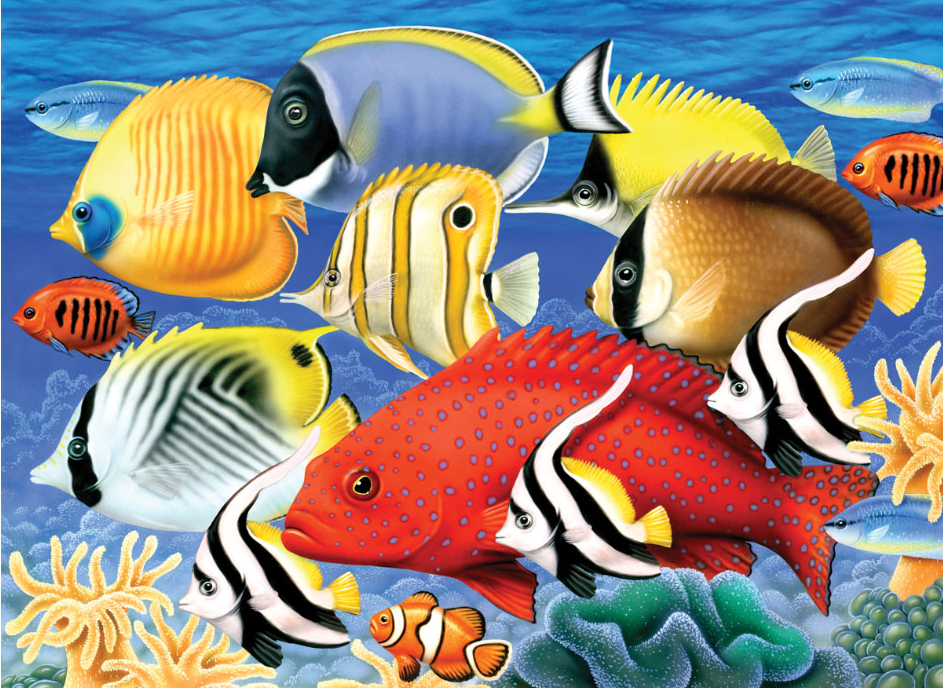 Maľovanie podľa čísiel formát A3 - Tropické ryby