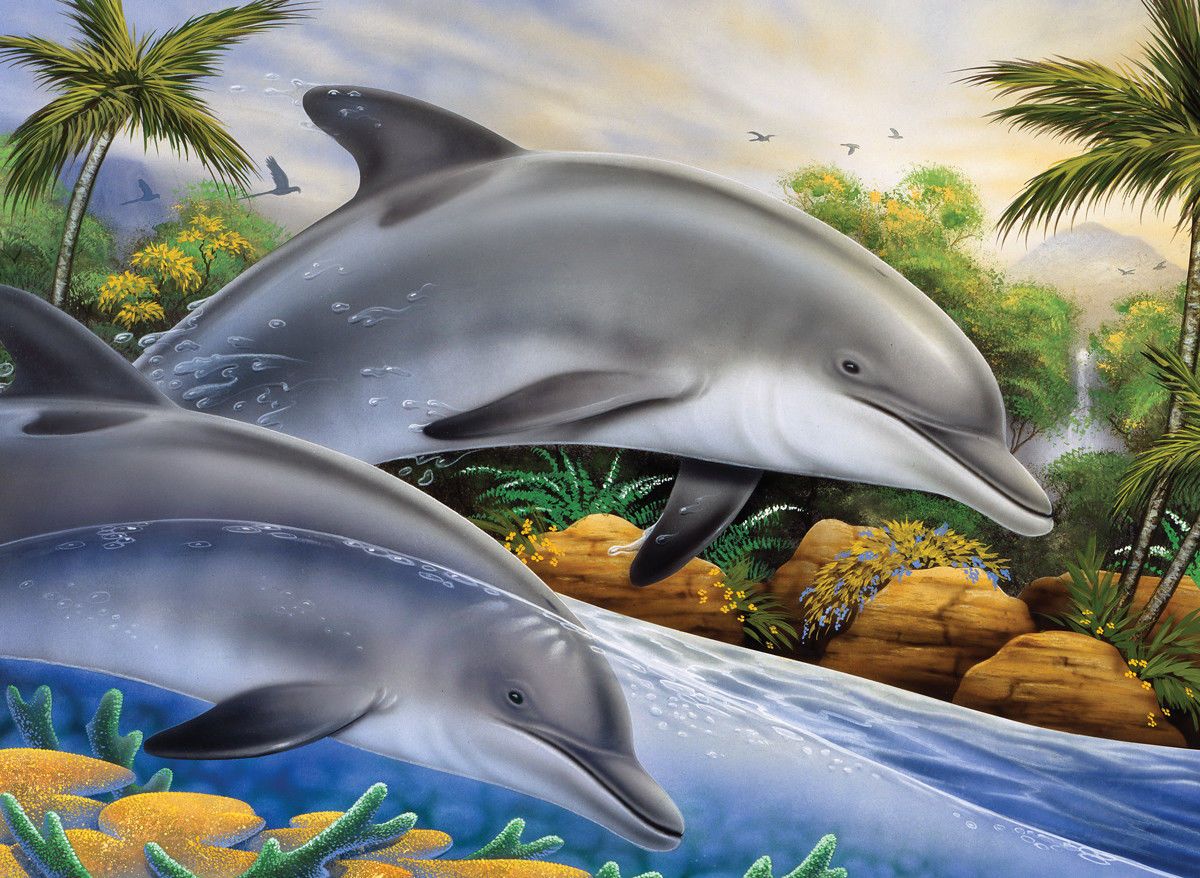 Maľovanie podľa čísiel formát A3 - Delfíny