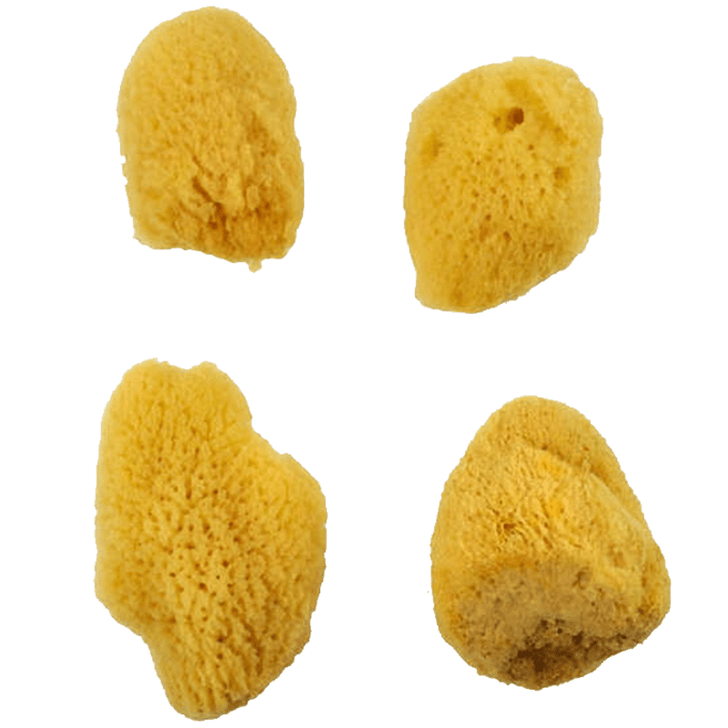 Prírodná špongia sada 4 ks